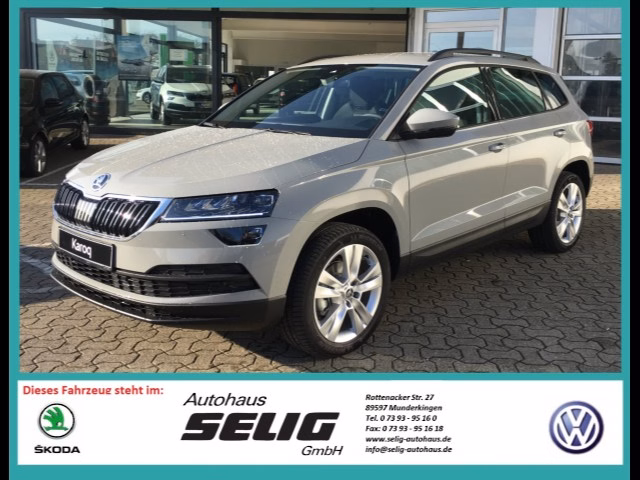 Skoda Karoq 1.6 TDI Style, LED, NAVI, PDC, Rückfahrkamera
