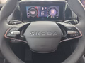 Daumennagel 23 - Skoda Kodiaq 2,0TDI DSG 4x4 aAHK/7-Sitzer/Matrix/Navi/el.Klappe   **