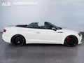 Daumennagel 10 - Audi S5 Cabriolet 3.0 quattro/AUTOMATIK/ACC/LED/SPUR/TOP/VOLL