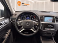 Daumennagel 12 - Mercedes-Benz ML 350 CDI AHK/Luft Fahrwerk/RFK