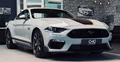 Daumennagel 1 - Ford Mustang Mach 1 MagneRide StylingPaket