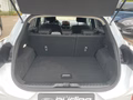Daumennagel 7 - Ford Puma 1.0 EcoBoost Hybrid Aut. Titanium Navi/RFK