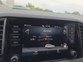 Daumennagel 43 - Skoda Karoq Sportline 1,5TSI DSG aAHK/Matrix/Kessy/Winterp.  **