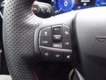 Daumennagel 14 - Ford Puma ST-Line aus 1. Hand
