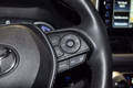 Daumennagel 8 - Toyota RAV 4 RAV4 Hybrid 4x4 Style Selection