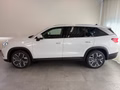Daumennagel 8 - Skoda Kodiaq 2.0 TDI 4x4 Selection 7 SITZE LEDER PANO
