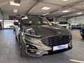 Daumennagel 5 - Ford Kuga PHEV Plug-In Hybrid ST-Line X LED + ACC