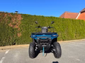 Daumennagel 2 - CFMOTO CFORCE C4 Touring EPS ABS NEW Generation 450