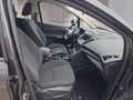 Daumennagel 15 - Ford C-Max 1.0 125PS Navi/Winterp/SR/WR/Parkas.