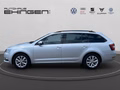 Daumennagel 10 - Skoda Octavia 1.5 TSI Style Sunset AHK+PDC+SH