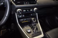 Daumennagel 11 - Toyota RAV 4 RAV4 Hybrid 4x4 Style Selection