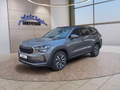 Daumennagel 2 - Skoda Kodiaq 1.5TSI mHEV Navi/Kamera/LED/el.Klappe/Kessy  **
