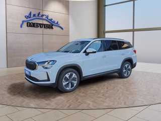 Skoda Kodiaq age.one-day registration Kaufen