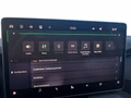 Daumennagel 50 - Skoda Kodiaq 2,0TDI DSG 7-Sitzer/Matrix/Navi/ACC/el.Klappe/Kamera  **
