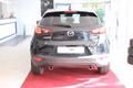 Daumennagel 7 - Mazda CX-3 Exclusive-Line