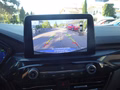 Daumennagel 21 - Ford Kuga Plug-In Hybrid ST-Line X aus 1. Hand