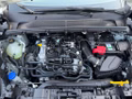 Daumennagel 17 - Ford Puma 1.0 EcoBoost Hybrid Aut. TITANIUM el.Heckl