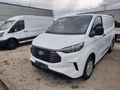 Daumennagel 1 - Ford Transit Custom Kasten 320 L1 Trend FWD