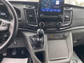 Daumennagel 13 - Ford Titanium 320 L1 Tourneo