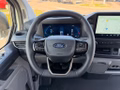 Daumennagel 7 - Ford E-Transit Custom 340 L1H1 PKW HA Trend Klima hi
