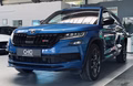 Daumennagel 3 - Skoda Kodiaq RS 4x4 7-Sitzer|360°|NAVI|STH|LKH|SHZ|ACC|MFL|AHK|