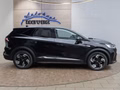 Daumennagel 6 - Renault Symbioz Techno 140Tce 18*Alu/Navi/ACC/LED/Winterp.