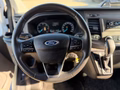 Daumennagel 21 - Ford Transit Custom Kasten 300 L1H1/Sortimo/AHK/Auto.