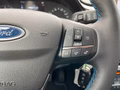 Daumennagel 25 - Ford Fiesta 1.0 EcoBoost Active Navi/RFK/LED/SZH