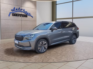 Skoda Kodiaq age.one-day registration Kaufen