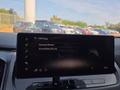 Daumennagel 39 - Nissan Qashqai N-Design 1.5 VC-T e-POWER UPE=50500 Euro **