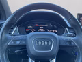 Daumennagel 20 - Audi SQ5 Sportback quattro TDI Matrix+Navi+Kamera