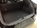 Daumennagel 5 - Ford Puma Titanium Automatik + Fahrerassistenz + Komfort
