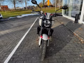Daumennagel 5 - Triumph Trident 800 NEU! 115PS Quick-Shifter