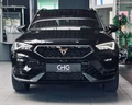 Daumennagel 2 - CUPRA Ateca 4Drive Akrapovic |Beats|Pano|ACC|AHK|CarPlay|