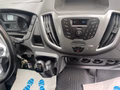 Daumennagel 16 - Ford Transit Kasten 350 L3H2 Trend