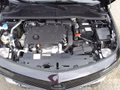 Daumennagel 14 - Opel Astra L 1.5 D Autom. Sports Tourer Kamera. Navi. Klimautom. SHZ. PDC. LED.