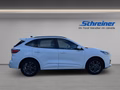Daumennagel 6 - Ford Kuga Plug-In Hybrid ST-Line