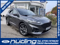 Daumennagel 1 - Ford Kuga 1.5 EcoBoost ST-Line ACC/Navi/RFK/BLIS