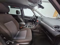 Daumennagel 17 - Ford Galaxy 2.0 Ambiente