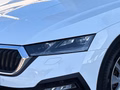 Daumennagel 5 - Skoda Octavia Combi Scout 4x4 2.0 TDI DSG AHK ACC Columbus Ergo-Sitze