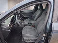 Daumennagel 9 - CUPRA Formentor 1.5 eTSI DSG AHK/Navi/Leder/ACC/Kamera/el.Klappe