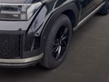 Daumennagel 4 - Hyundai SANTA FE 1.6 T-GDI Plug-In Hybrid 186 kW 4WD Signature