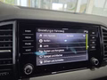 Daumennagel 38 - Skoda Karoq 1,5TSI DSG 4*J.Gar/aAHK/Kamera/Kessy/Winterp.  **