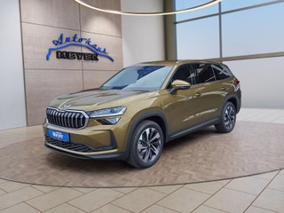 Skoda Kodiaq age.one-day registration Kaufen