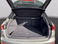 Daumennagel 19 - Audi Q3 35 TFSI S tronic LED+ACC+PDC