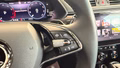 Daumennagel 19 - Skoda Superb Combi L&K 4x4