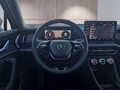 Daumennagel 15 - Skoda Kodiaq 2,0TDI DSG 7-Sitzer/Matrix/Navi/ACC/el.Klappe/Kamera  **