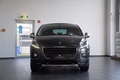 Daumennagel 4 - Peugeot 3008 Allure  AUT NAV HEAD-UP LED PANO
