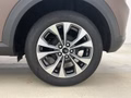 Daumennagel 6 - Ford Puma Titanium + Fahrerassistenz + Winter-Paket