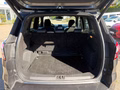 Daumennagel 7 - Ford Kuga 1.5 EcoBoost ST-Line Xenon/PDC/SZH